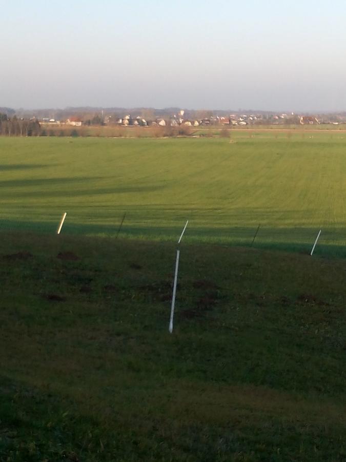 Hotel & Pension Assmann Hochkirch Buitenkant foto