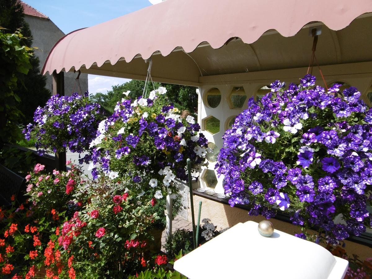 Hotel & Pension Assmann Hochkirch Buitenkant foto